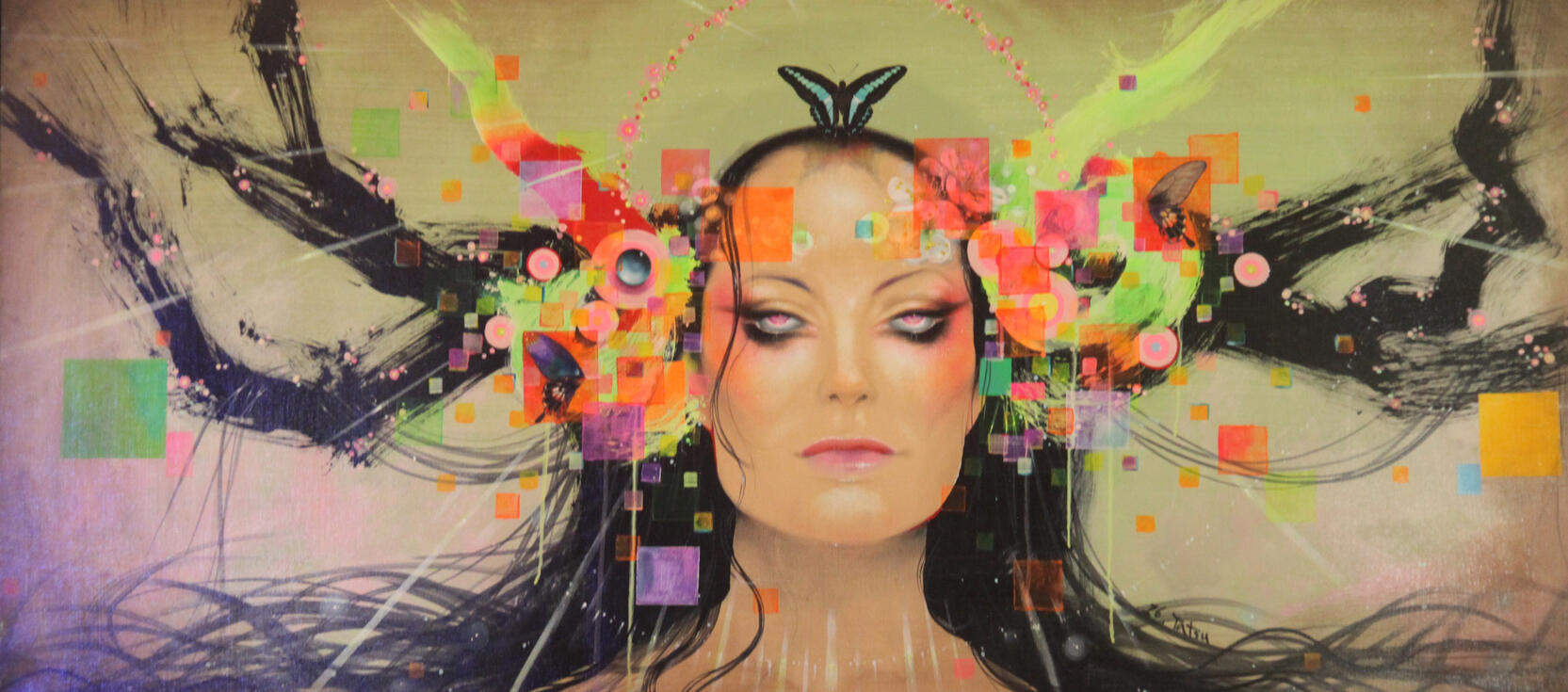 Lady Plum $1.3k 34x60