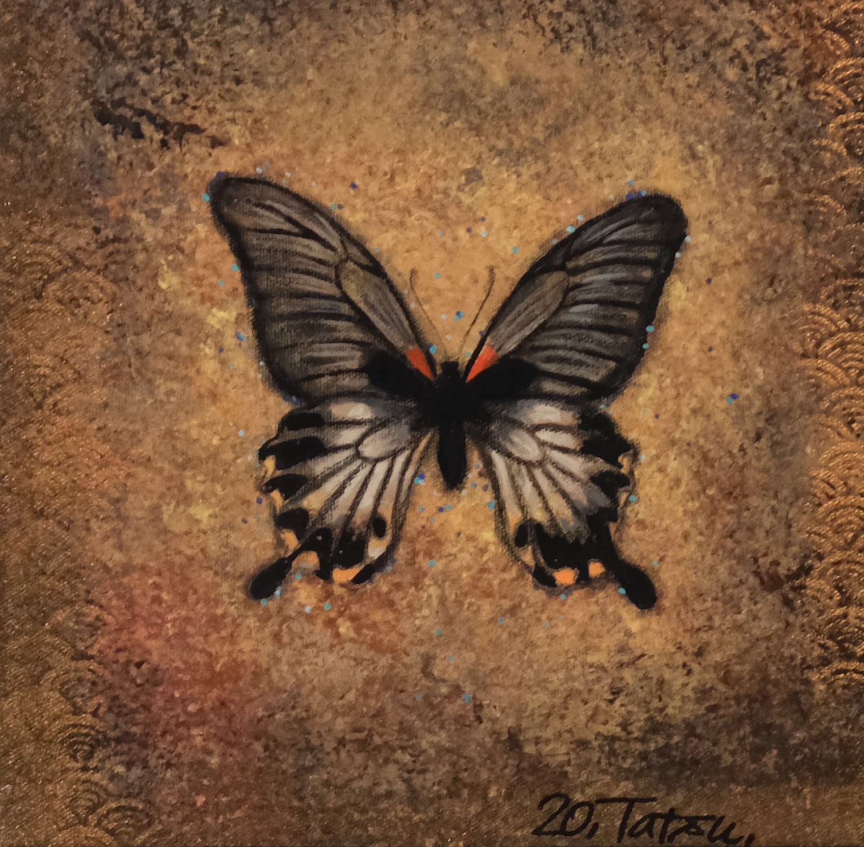 B&G  Butterfly